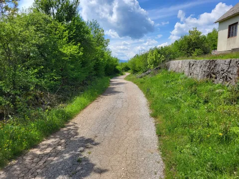 Prodaja, plac, 160000m², Bršno, Nikšić - image 18