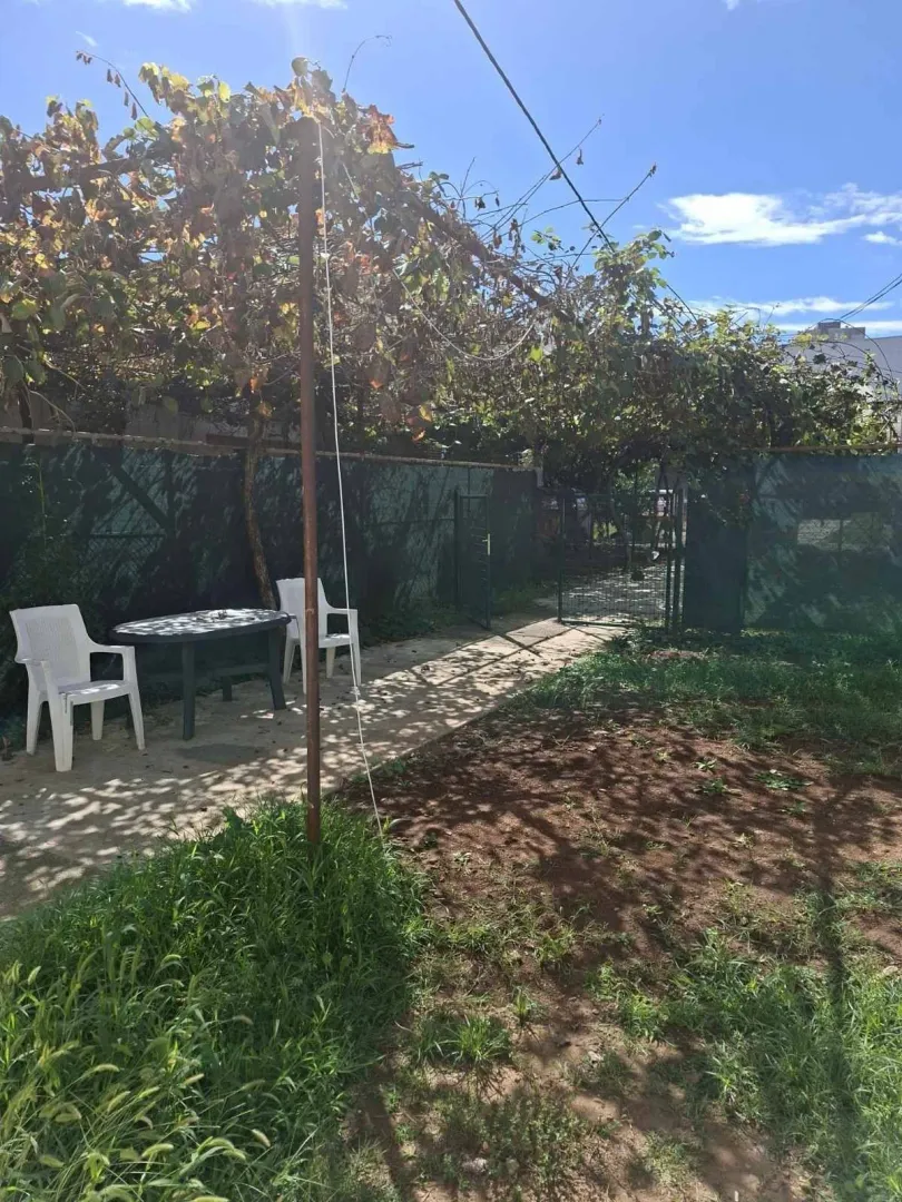 A yard featuring outdoor seating shaded by grapevines.