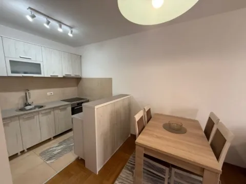 Izdavanje, jednosoban stan, 45m², Stari Aerodrom, Podgorica - image 3