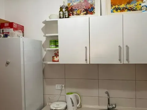 Rent, one bedroom apartment, 45m², Rozino, Budva - image 8