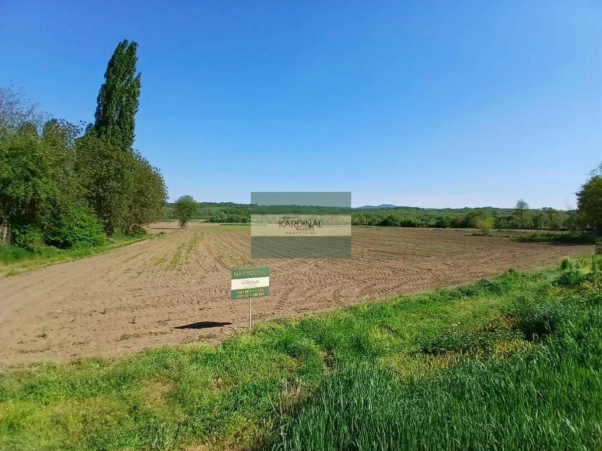 Prodaja, plac, 16009m², Dragocvet, Jagodina