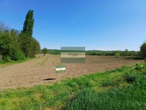 Prodaja, plac, 16009m², Dragocvet, Jagodina - image 6