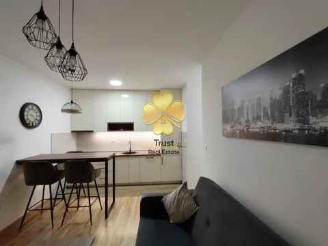 Izdavanje, jednosoban stan, 40m², Zabjelo, Podgorica - image 2