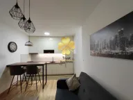 Rent, one bedroom apartment, 40m², Zabjelo, Podgorica - image 2