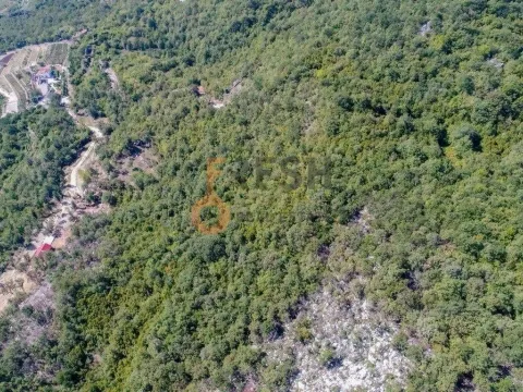 Prodaja, plac, 14000m², Podgorica, Crna Gora - image 14