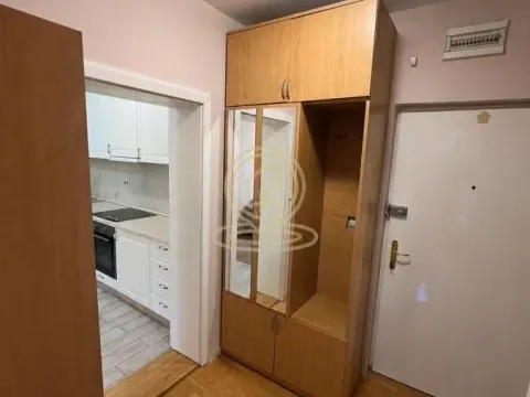 Rent, one bedroom apartment, 42m², Grbavica, Novi Sad Sve Podlokacije - image 7