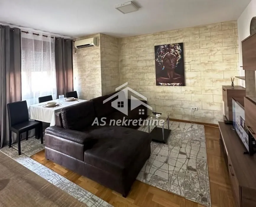 Izdavanje, dvosoban stan, 50m², Južni Bulevar, Vračar Sve Podlokacije