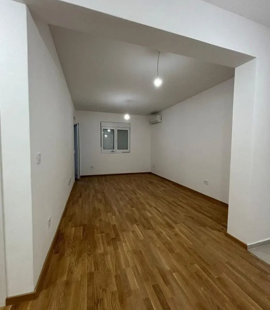 Izdavanje, jednosoban stan, 47m², Stari Aerodrom, Podgorica