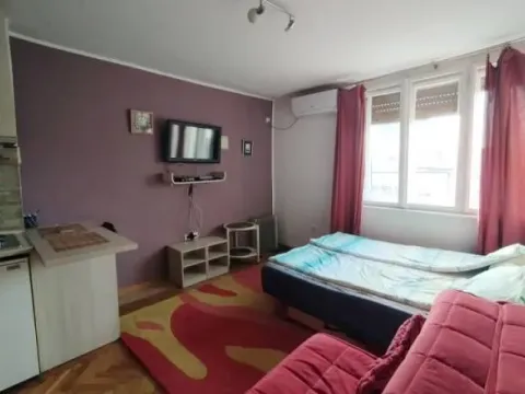 Izdavanje, garsonjera, 25m², Botanička Bašta, Palilula Sve Podlokacije - image 2