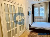 Izdavanje, dvosoban stan, 59m², Skadarlija, Beograd - image 7