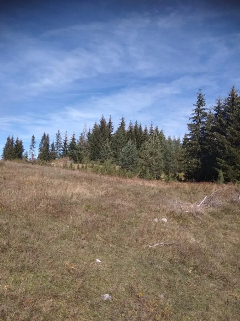 Prodaja, plac, 17803m², Podgora, Žabljak