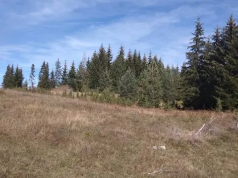 Sale, land lot, 17803m², Podgora, Žabljak - image 5