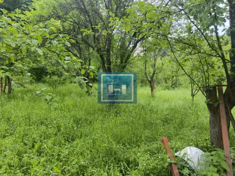 Prodaja, kuća, 300m², Senje, Ćuprija - image 14