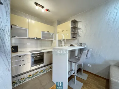 Izdavanje, jednosoban stan, 55m², City Kvart, Podgorica - image 5