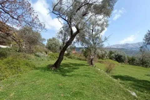 Zelena površina sa drvećem i pogledom na okolnu prirodu. - image 6