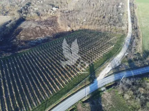 Prodaja, plac, 20000m², Nemenikuće, Sopot - image 3