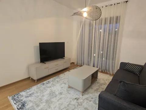 Rent, one bedroom apartment, 51m², Zabjelo, Podgorica - image 4