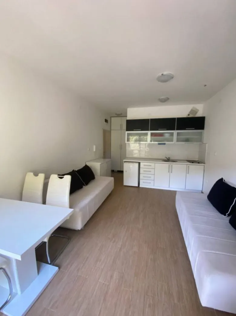 Sale, studio apartment, 25m², Rafailovići, Budva