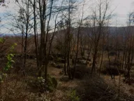 Sale, land lot, 9500m², Piperi, Podgorica - image 7