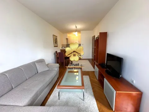 Izdavanje, dvosoban stan, 60m², Blok 9, Podgorica - image 3
