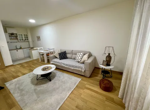 Rent, one bedroom apartment, 47m², New City, Podgorica - image 3