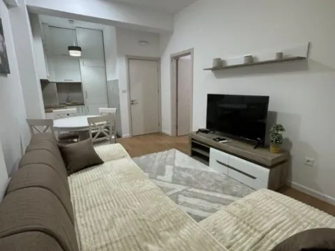 Izdavanje, jednosoban stan, 45m², Ljubović, Podgorica - image 2