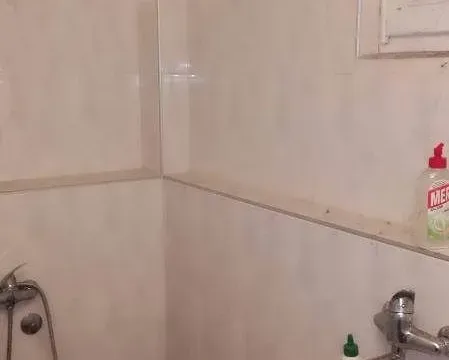 Prodaja, poslovni prostor, 251m², Mladenovac, Beograd - image 8