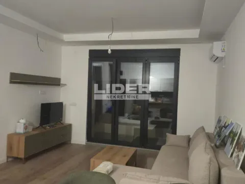 Izdavanje, dvosoban stan, 40m², Južni Bulevar, Vračar Sve Podlokacije - image 5