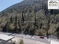 Sale, land lot, 2016m², Sutorina, Herceg Novi - image 2