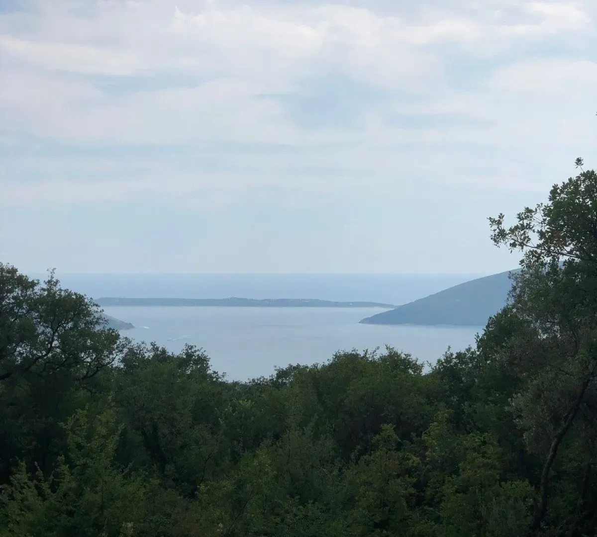 Prodaja, plac, 610m², Sasovići, Herceg Novi
