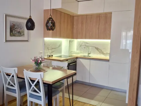 Izdavanje, jednosoban stan, 48m², Ljubović, Podgorica - image 3