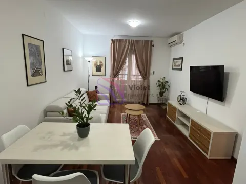 Izdavanje, jednosoban stan, 44m², Stari Aerodrom, Podgorica - image 10