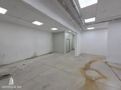 Izdavanje, poslovni prostor, 310m², Dušanovac, Voždovac Sve Podlokacije - image 11
