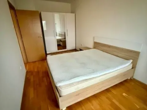 Rent, one bedroom apartment, 55m², Ljubović, Podgorica - image 2