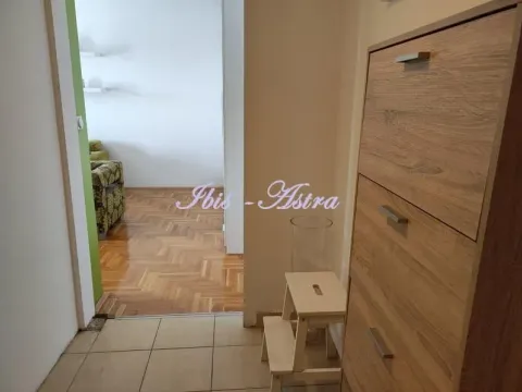 Izdavanje, dvosoban stan, 47m², Zvezdara Sve Podlokacije, Beograd - image 13