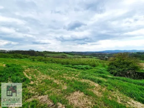 Prodaja, plac, 14000m², Pambukovica, Ub - image 3