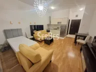 Izdavanje, jednosoban stan, 34m², Bulevar Oslobodjenja, Novi Sad Sve Podlokacije - image 9