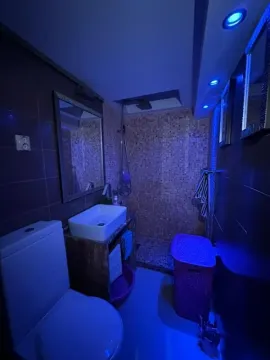 Kupatilo opremljeno umivaonikom, WC šoljom i tuš kabinom sa mozaik pločicama. - image 4