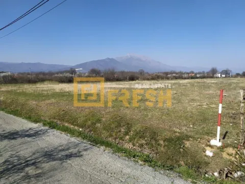 Prodaja, plac, 5737m², Danilovgrad, Crna Gora - image 4