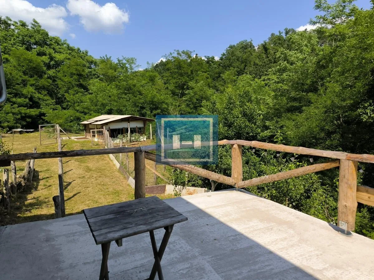 Sale, hospitality venue, 250m², Despotovac, Srbija