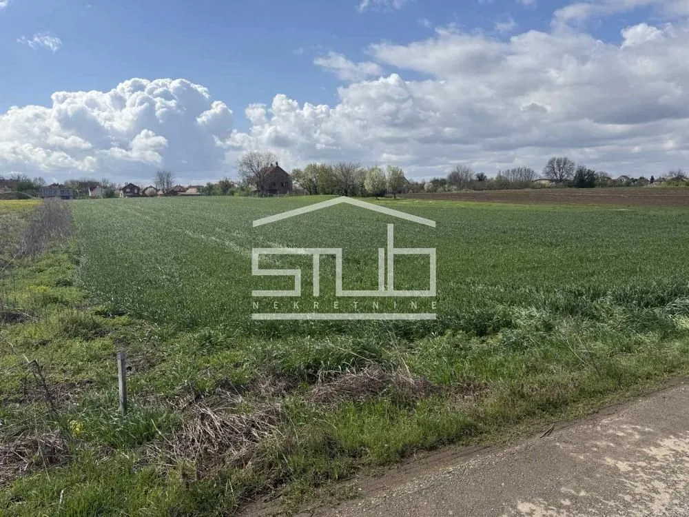 Prodaja, plac, 5000m², Dobanovci, Surčin