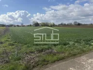 Prodaja, plac, Dobanovci, Surčin - image 3