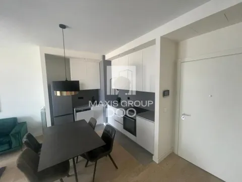 Izdavanje, jednosoban stan, 52m², Savski Venac, Beograd - image 12