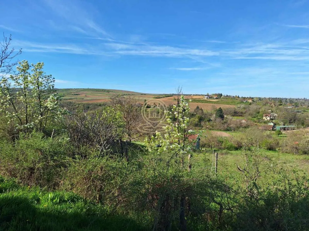 Prodaja, plac, 210600m², Beočin, Srbija