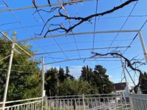 Prodaja, kuća, 242m², Šušanj, Bar - image 7