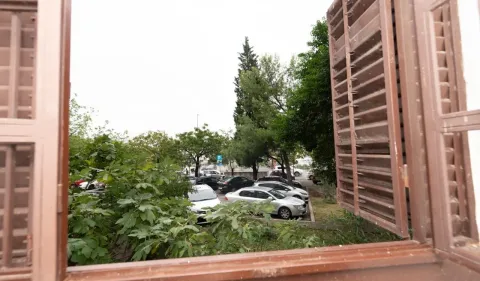 View through the window of green areas and parked cars. - image 12