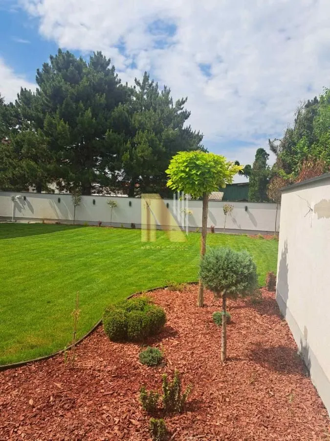 Landscaped yard with lawn and ornamental plants.