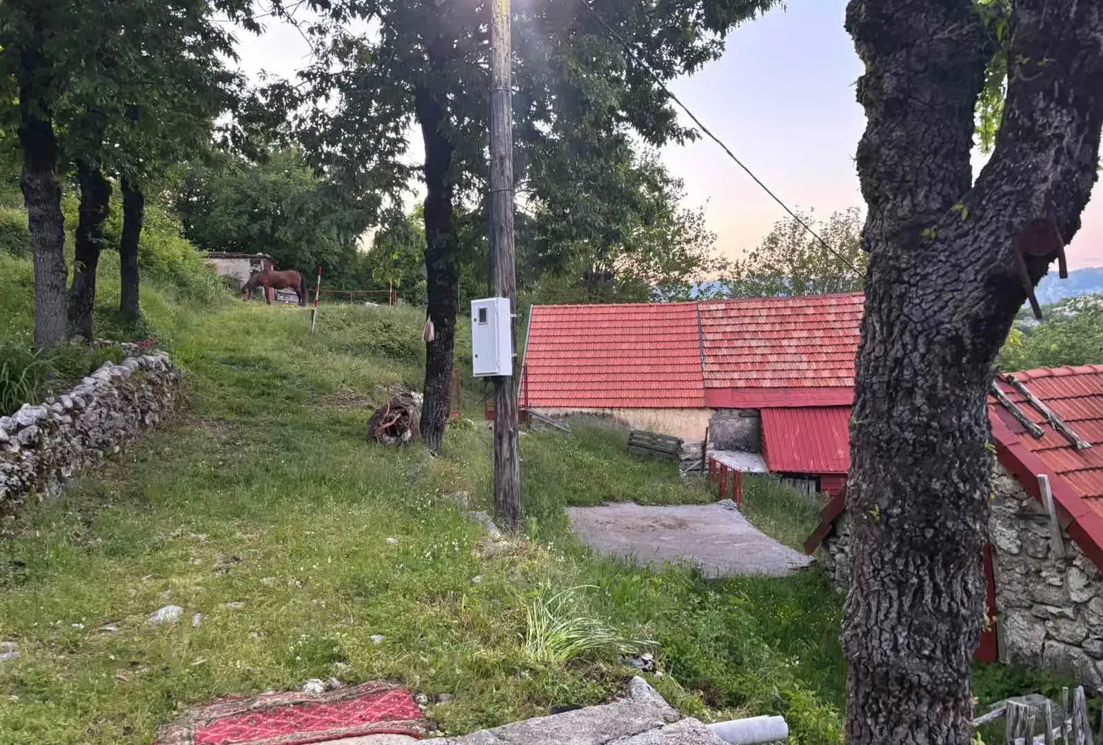 Prodaja, plac, 3516m², Cetinje, Crna Gora