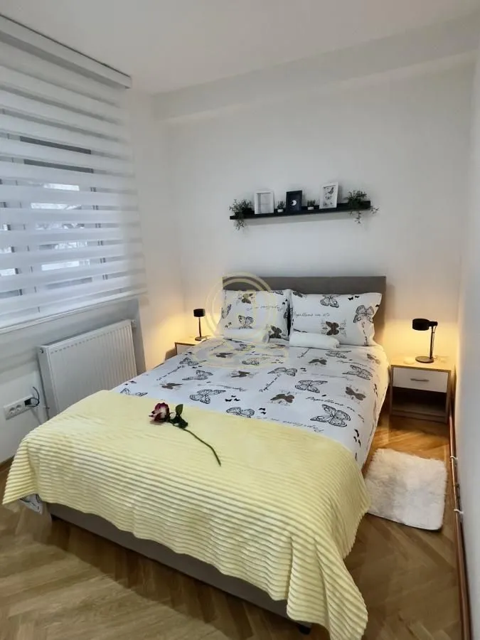 Rent, two bedroom apartment, 43m², Vračar Sve Podlokacije, Beograd
