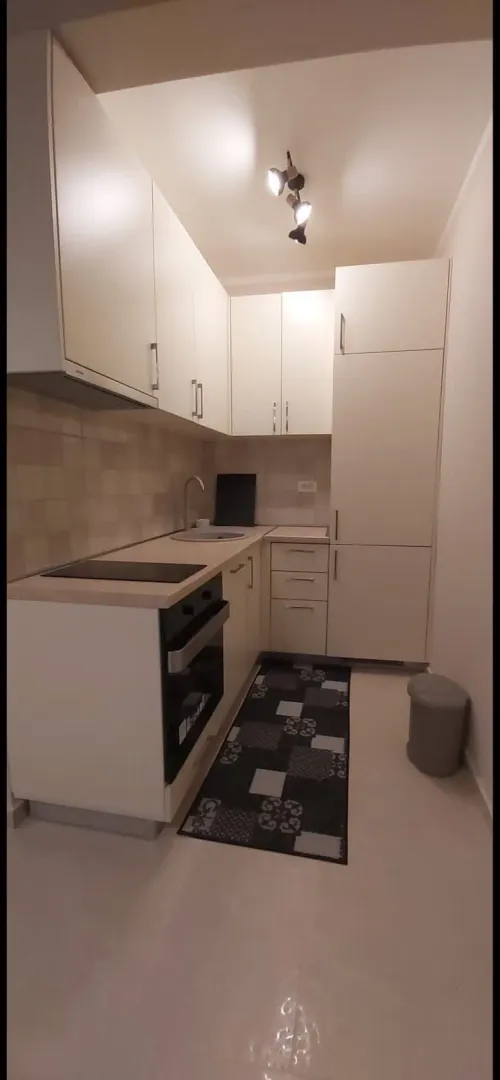 Manja svijetla kuhinja sa bijelim elementima i ugrađenim aparatima.